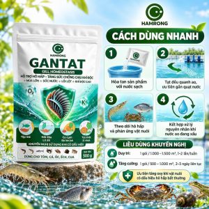 Cách dùng gantat hỗ trợ hô hấp