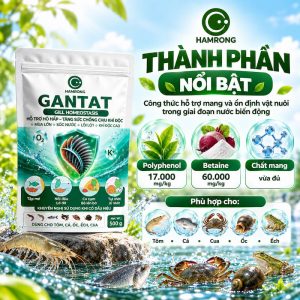 Thành phẫn nổi bật gantat hỗ trợ hô hấp