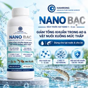 Nano bạc khử khuẩn trong ao