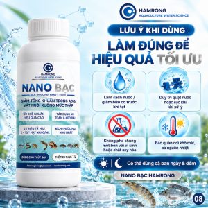 Lưu ý Nano bạc khử khuẩn trong ao