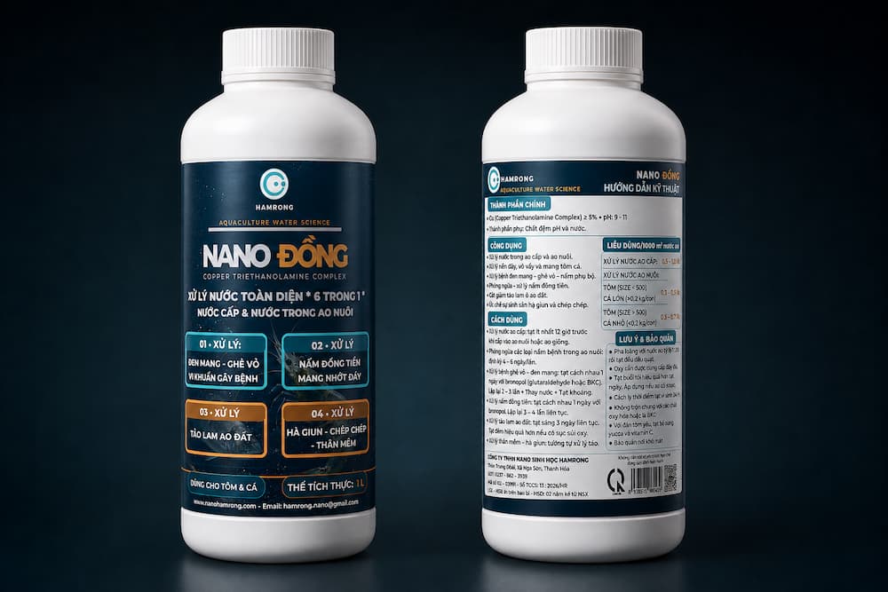NANO ĐỒNG