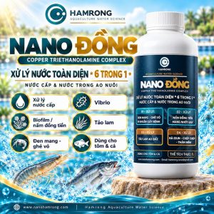 Nano Đồng xử lý nước toàn diện 2