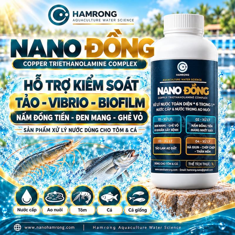nano-dong-sp-n-05