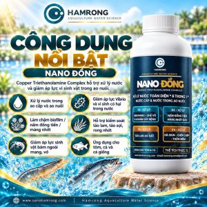 CÔNG DỤNG