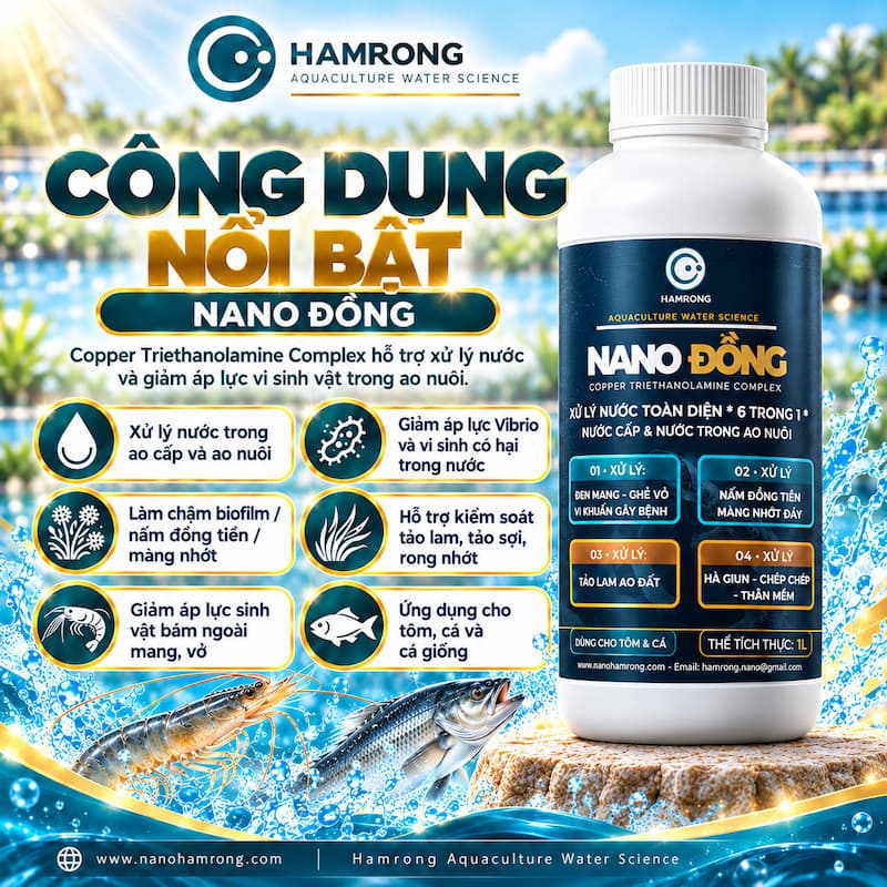 CÔNG DỤNG