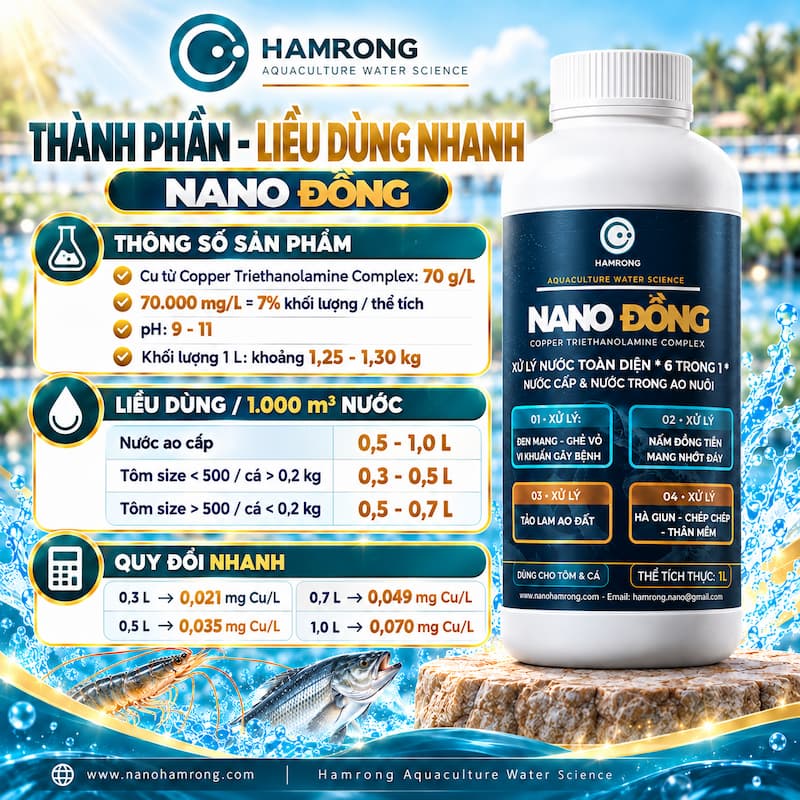 THÀNH PHẦN CHÍNH