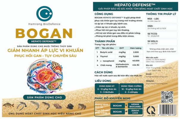 KHI NÀO NÊN DÙNG BOGAN