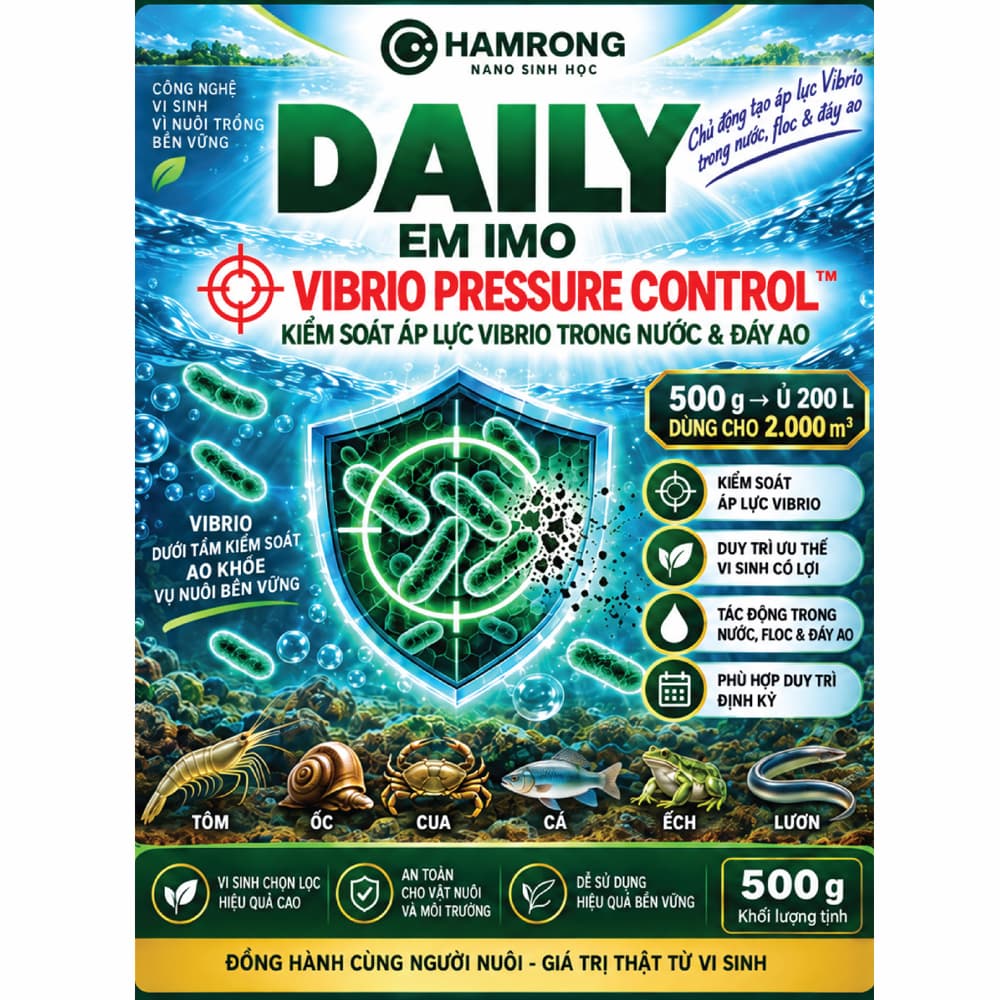 daily-sp-01 Daily