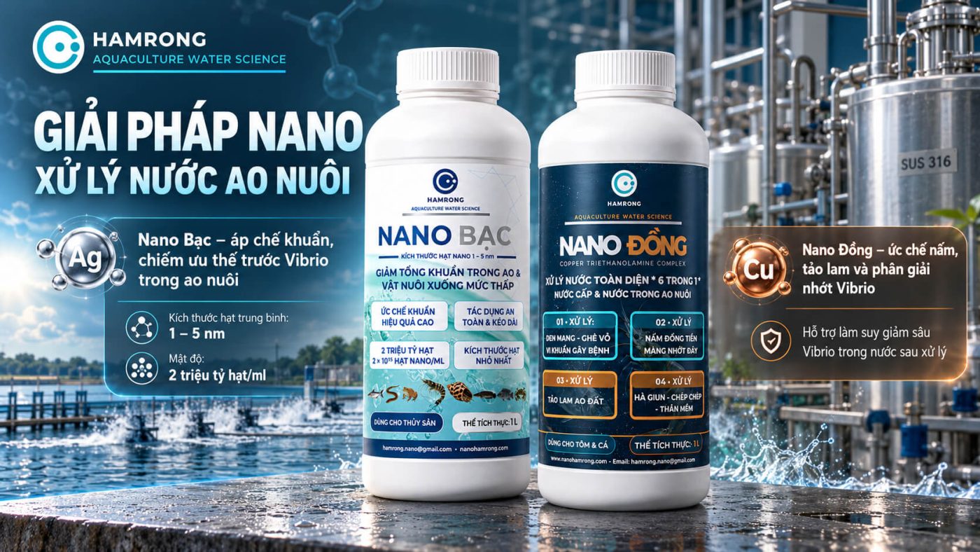 nano đồng bạc