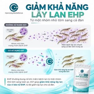 LƯU Ý – BẢO QUẢN