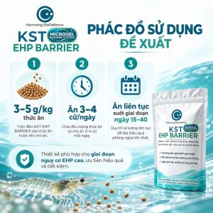 DẤU HIỆU ĐẠT KST EHP