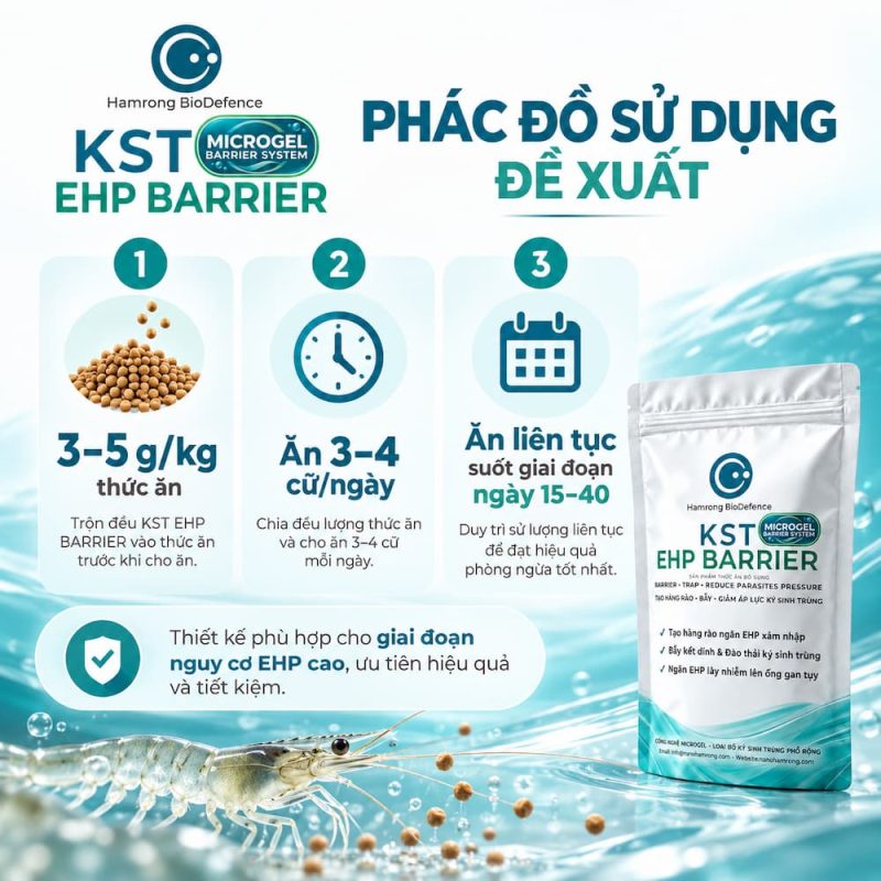 DẤU HIỆU ĐẠT KST EHP