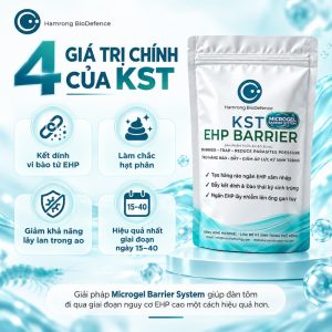 TÁC DỤNG KST EHP