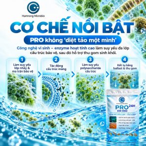 Công dụng pro kiểm soát tảm lam, tảo giáp