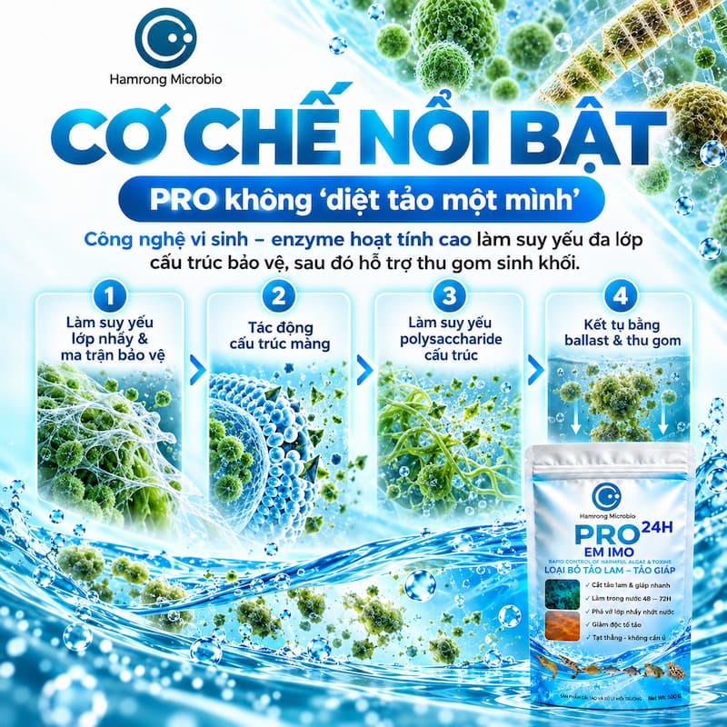 Công dụng pro kiểm soát tảm lam, tảo giáp