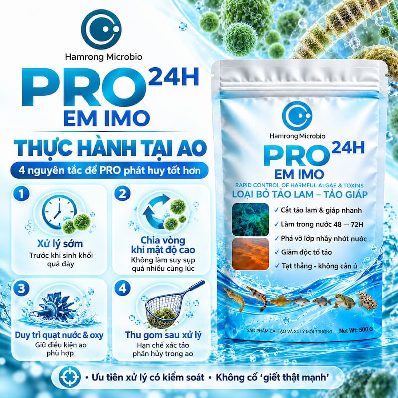 AN TOÀN SỬ DỤNG pro kiểm soát tảm lam, tảo giáp