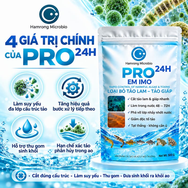 Giá trị pro kiểm soát tảm lam, tảo giáp