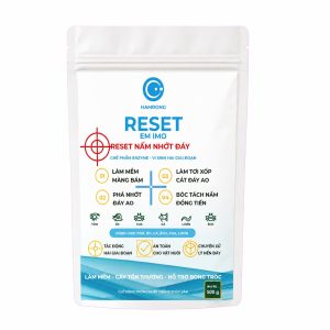 Reset